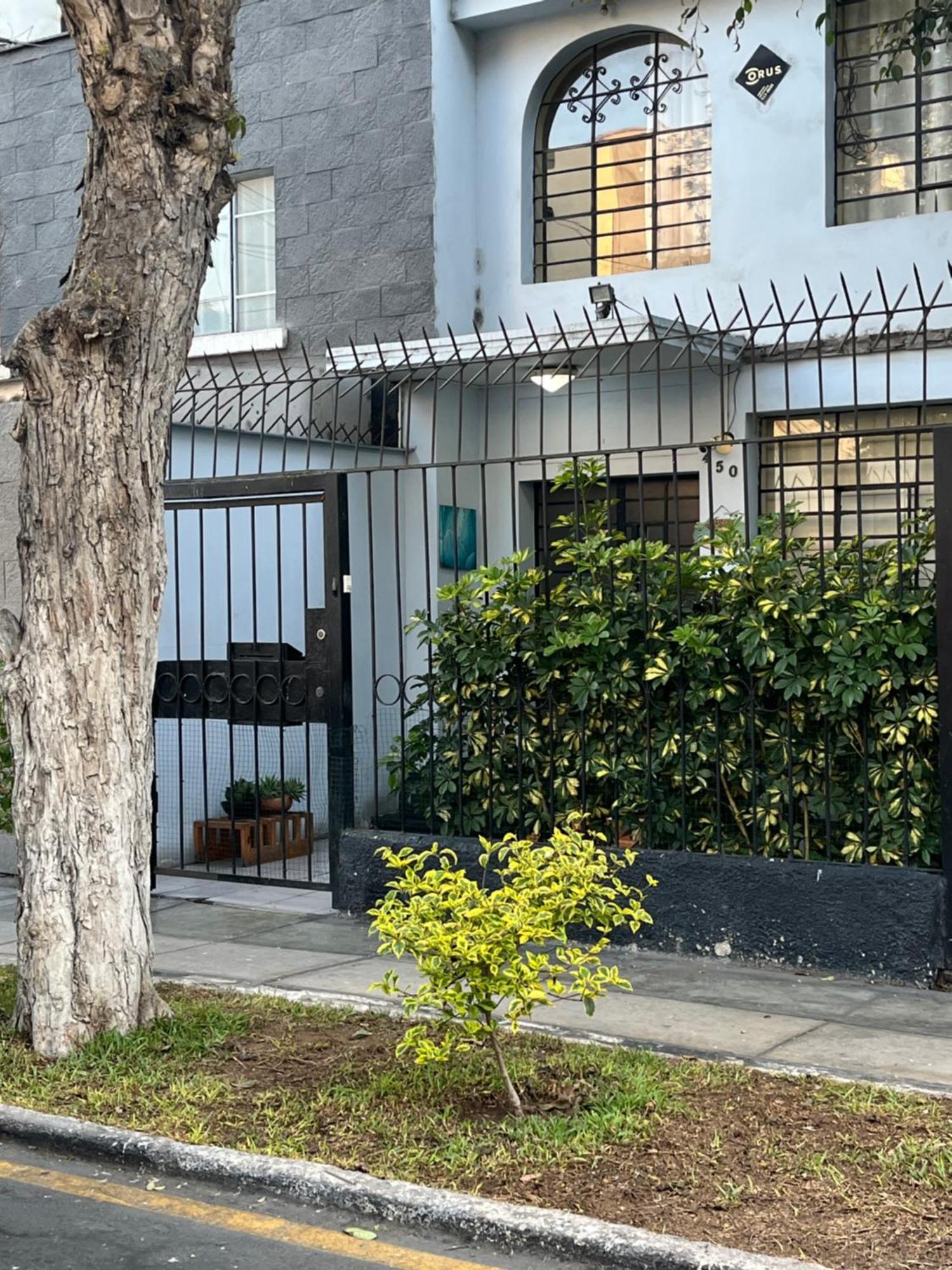 リマ Uli'S House Bed & Breakfast エクステリア 写真